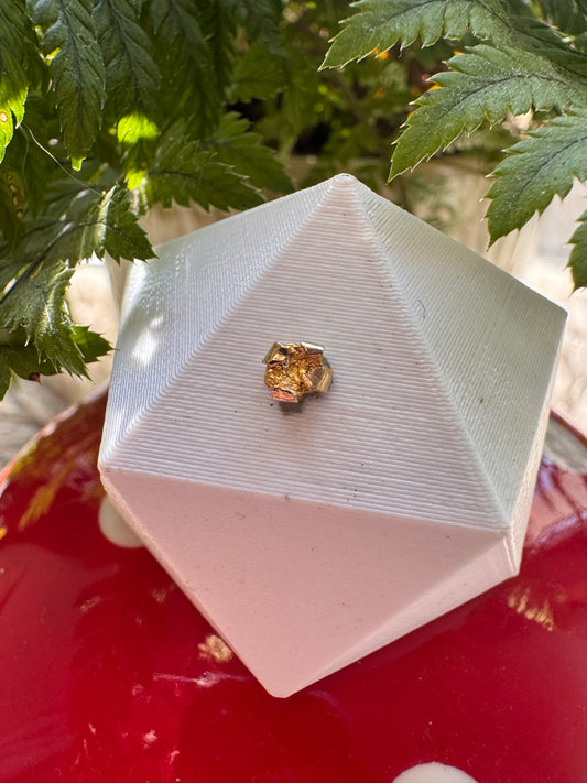 All my best friends are metalheads - YG & aus nugget