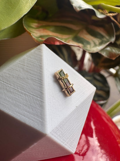 Take a look around - YG & watermelon tourmaline