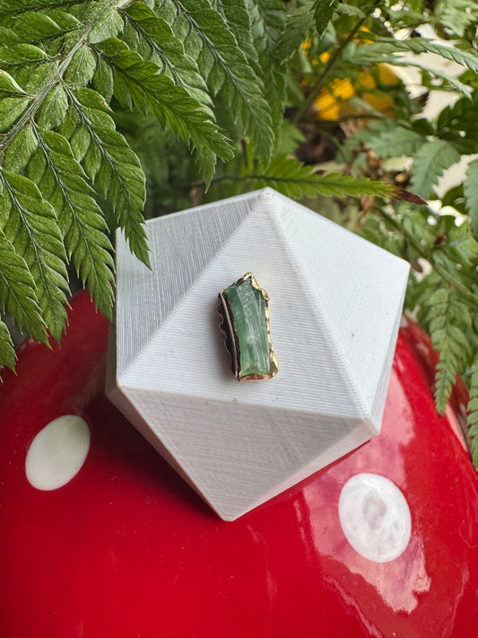 People are strange - 14k YG raw tourmaline