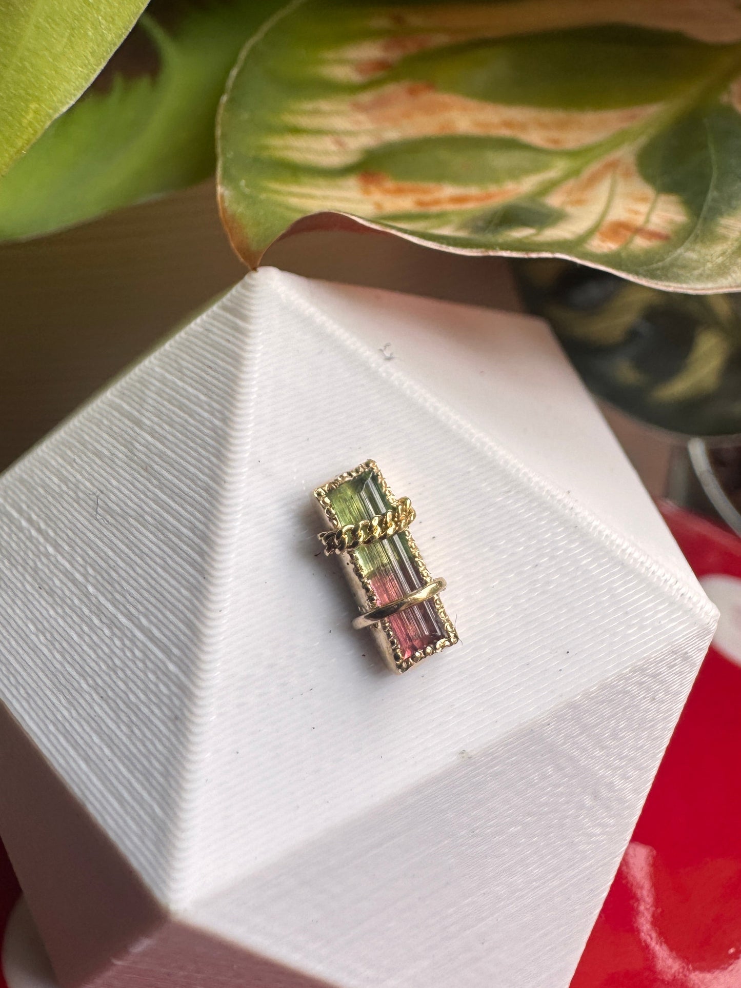 Take a look around - YG & watermelon tourmaline