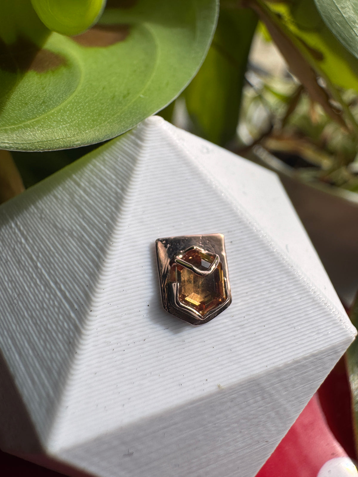 Olympic - RG & Montana agate