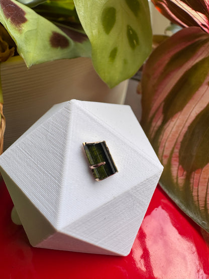 Wish - YG & raw green tourmaline