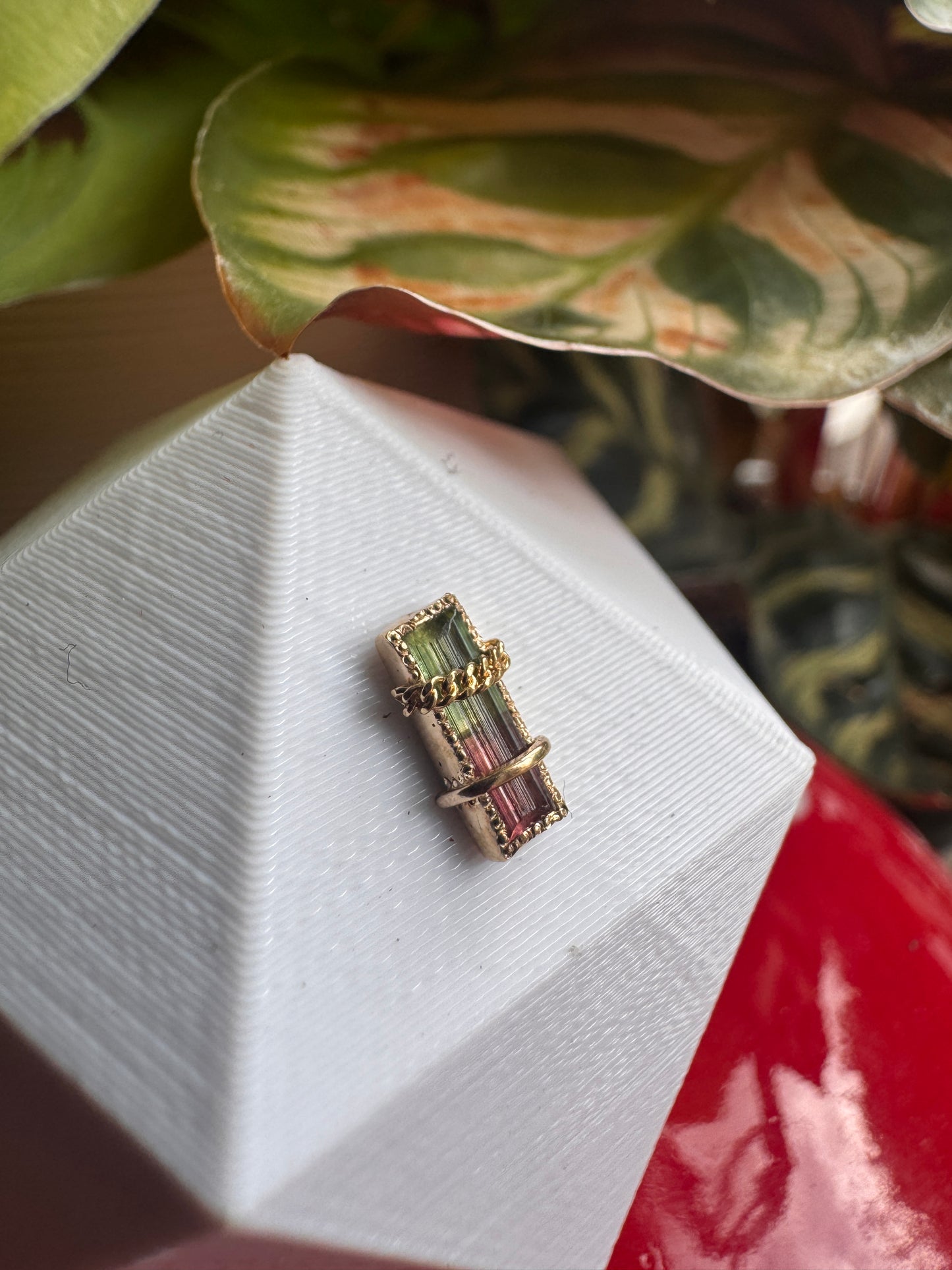 Take a look around - YG & watermelon tourmaline