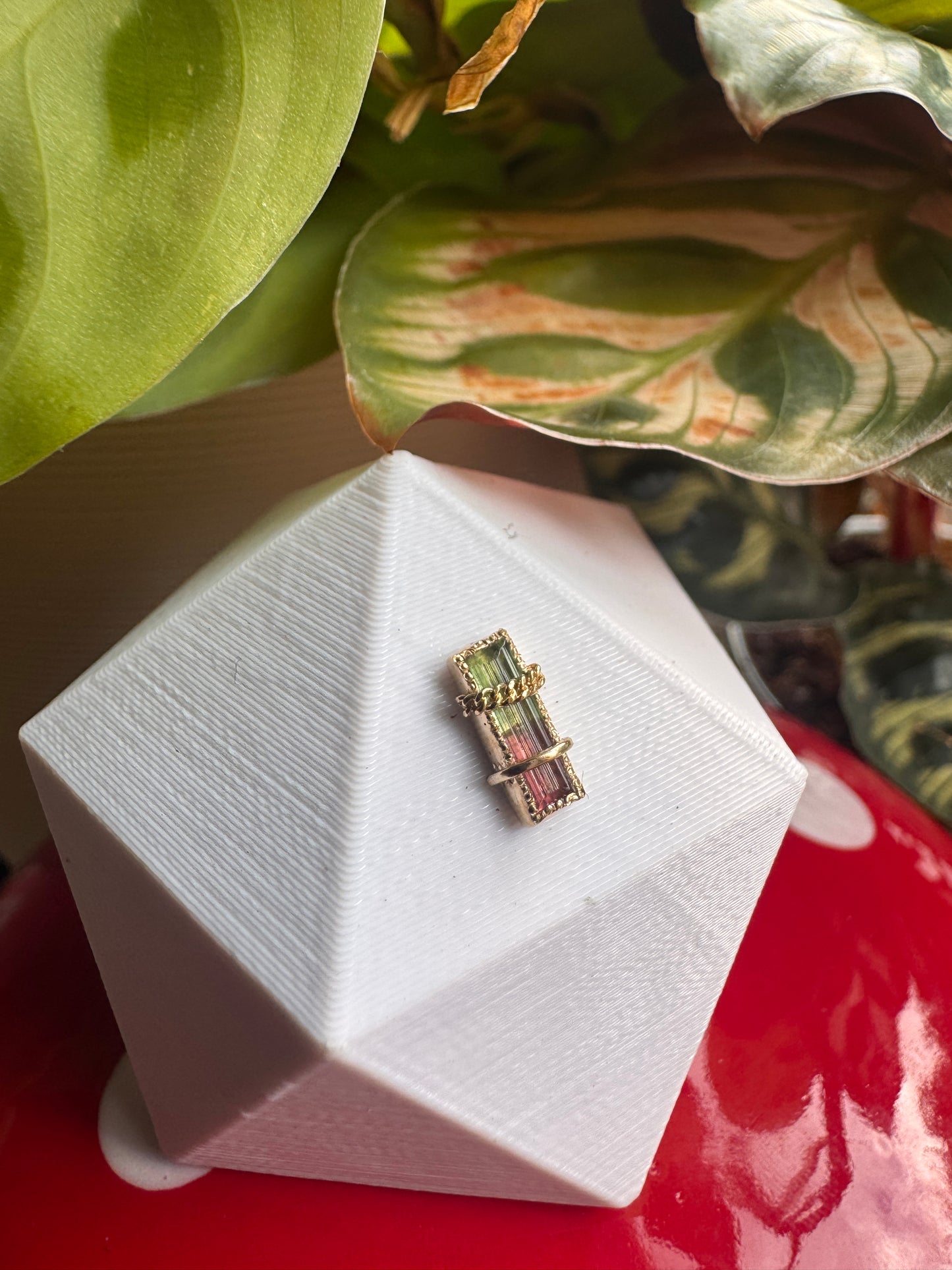 Take a look around - YG & watermelon tourmaline