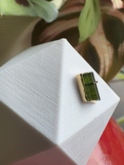 Wish - YG & raw green tourmaline